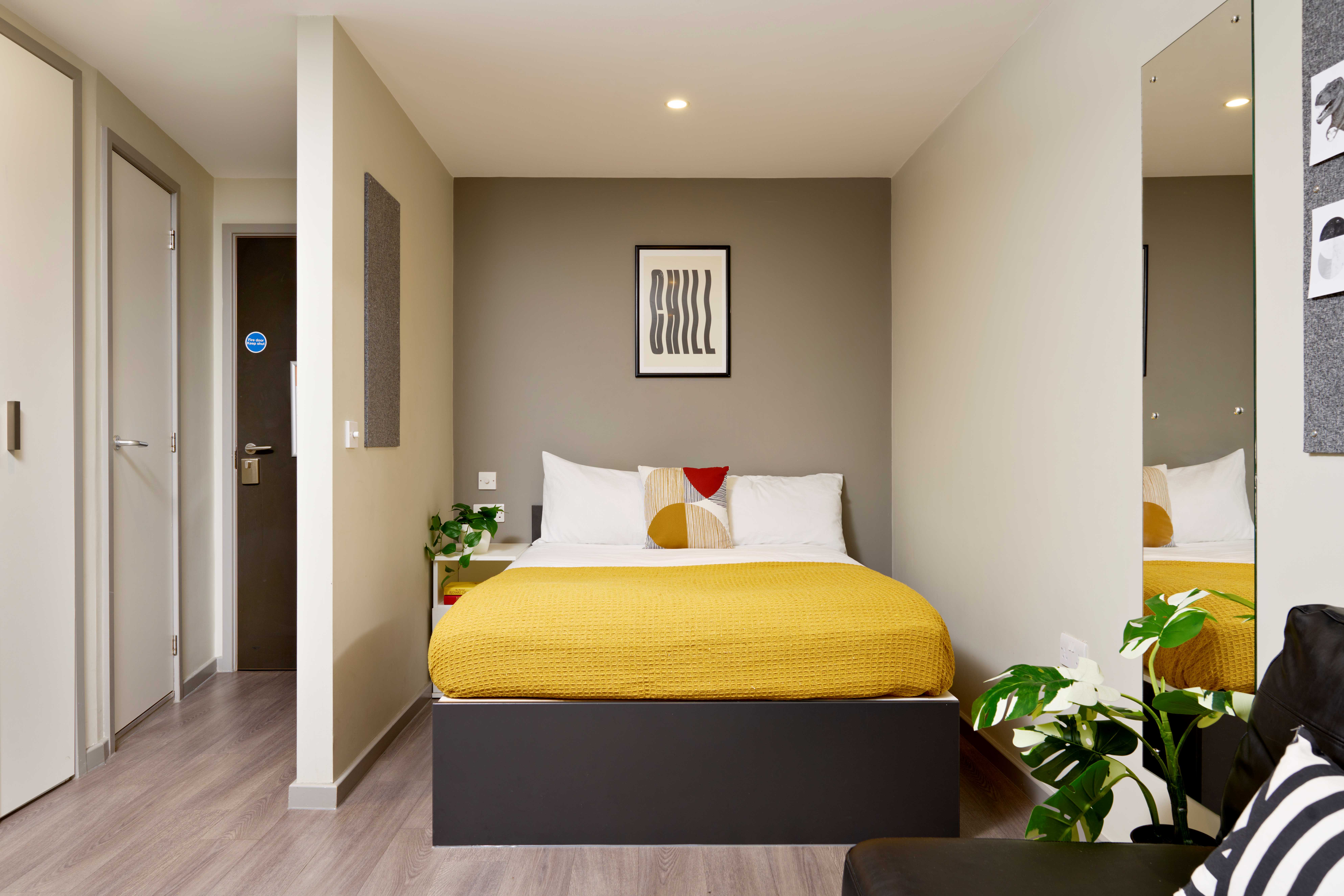 millennium view gold student studio